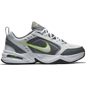 Nike AIR MONACH IV TRAINING šedá 8 - Pánská tréninková obuv
