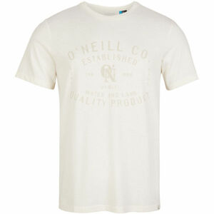 O'Neill LM ESTABLISHED T-SHIRT Bílá S - Pánské tričko