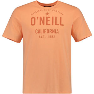 O'Neill LM OCOTILLO T-SHIRT modrá XL - Pánské tričko