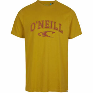 O'Neill LM STATE T-SHIRT Žlutá S - Pánské tričko
